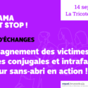 Journée D’échanges « Accompagnement Des Victimes De Violences Conjugales Et Intrafamiliales, Le Secteur Sans-abri En Action »