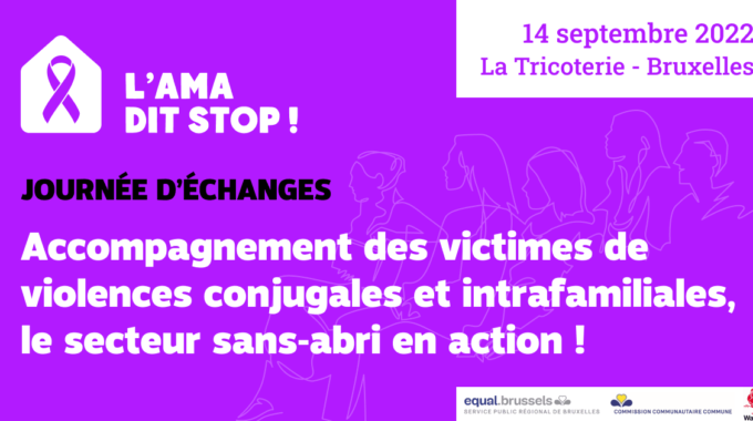 Journée D’échanges « Accompagnement Des Victimes De Violences Conjugales Et Intrafamiliales, Le Secteur Sans-abri En Action »